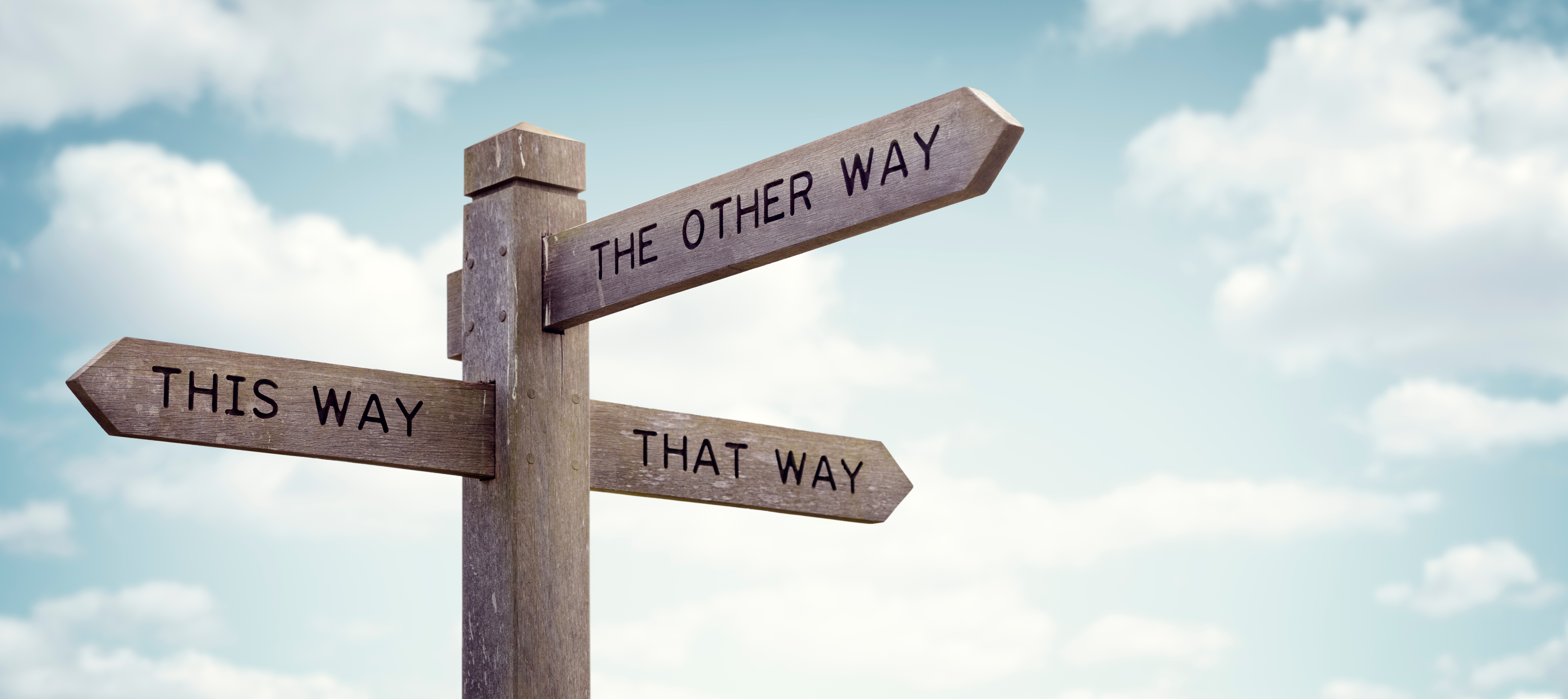 Is the Software Dev Industry Dead?